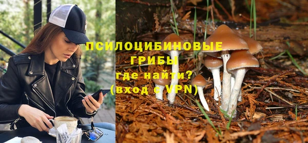 гидропоника Алзамай