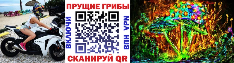 наркошоп  Красноярск  Галлюциногенные грибы Psilocybe 